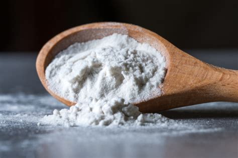  Arrowroot:  Unveiling the Versatile Starch Powerhouse for Food and Industrial Applications!