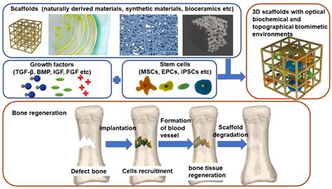 Bioactive Glass: Revolutionary Material for Bone Regeneration and Tissue Engineering!