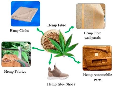 Hemp Fibers: Unleashing Sustainable Potential for Biocomposites and Textile Innovations!